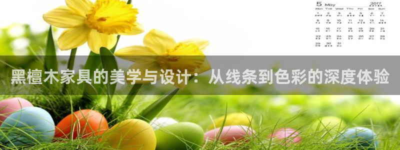 安信4特邀55 12