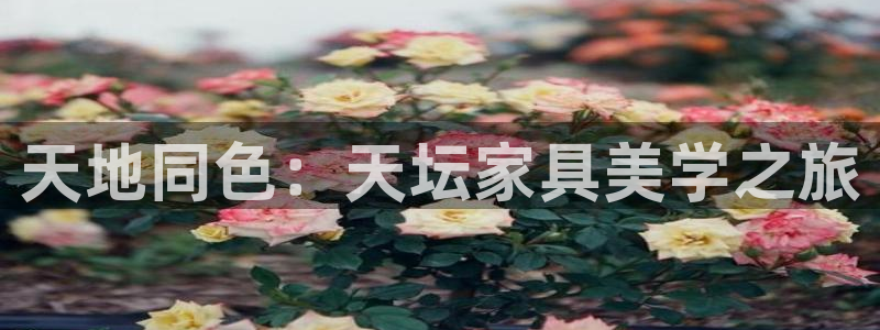 安信安盈12最新消息：天地同色：天坛家具美学之旅