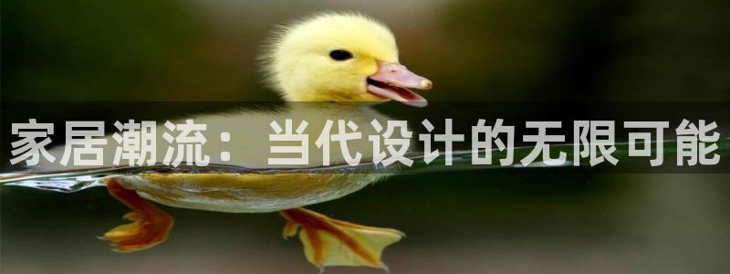 安信12专用挂机